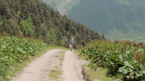Περπατώντας στα βουνά του Καυκάσου, γεωργία — Αρχείο Βίντεο