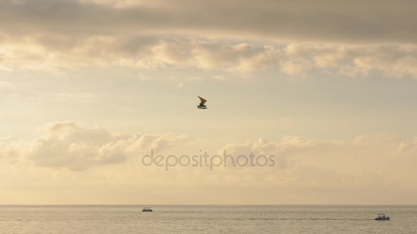 Hang-gliding over the Black sea, Georgia — Stock Video