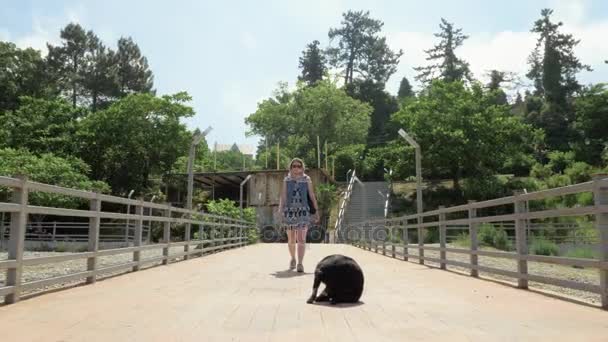 Flicka promenader med en rolig liten hund på piren. Batumi, Georgien — Stockvideo