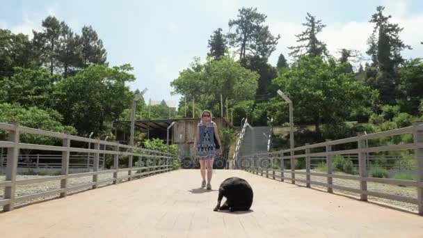 Meisje met de grappige kleine hond wandelen op de pier. Batumi, Georgië — Stockvideo