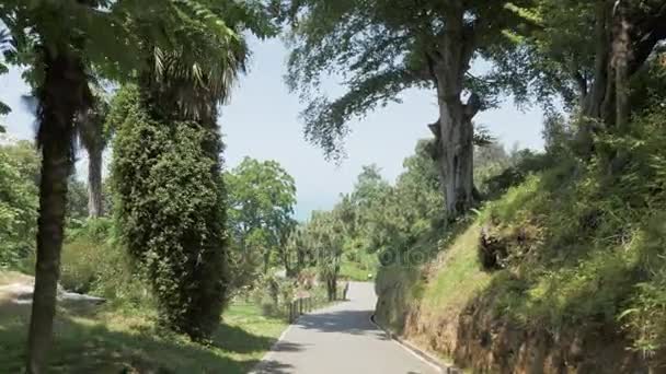 Flying in the tropical rainforest. Georgia — Stock Video