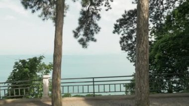 Yaz günü, Karadeniz horizen birinde en büyük park - Batum, Gürcistan