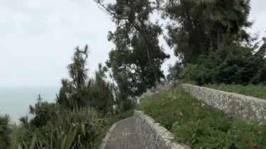 Yaz günü, tropikal yağmur ormanları birinde en büyük park - Batum, Gürcistan
