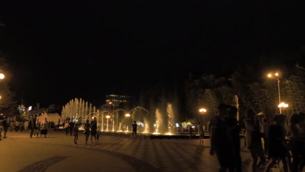 Fountain at the night - Georgia — Stock Video