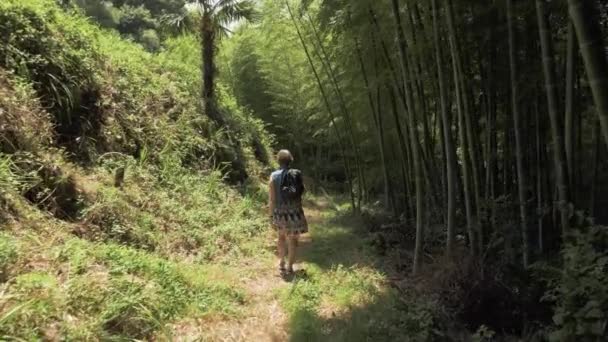 Молодая девушка гуляет в тропическом ботаническом саду. Батуми, Грузия — стоковое видео