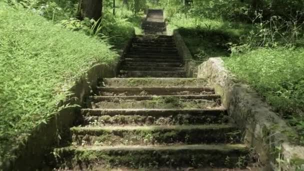 Stairs in tropical rainforest at summer day - Batumi, Georgia — Stock Video