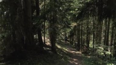 Genç kız bakpack - Georgia Milli Parkı ile dağlar ormanda yürür