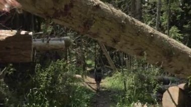 Genç kız bakpack - Georgia Milli Parkı ile dağ içeri girer