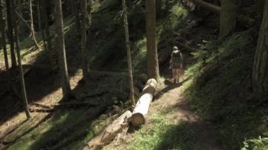 Genç kız bakpack - Georgia Milli Parkı ile dağlar ormanda yürür