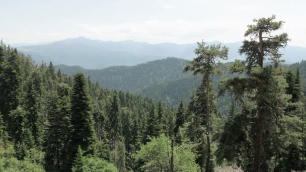 बोर्जोमी खरागागुली राष्ट्रीय उद्यान में पहाड़ों का दृश्य जॉर्जिया — स्टॉक वीडियो