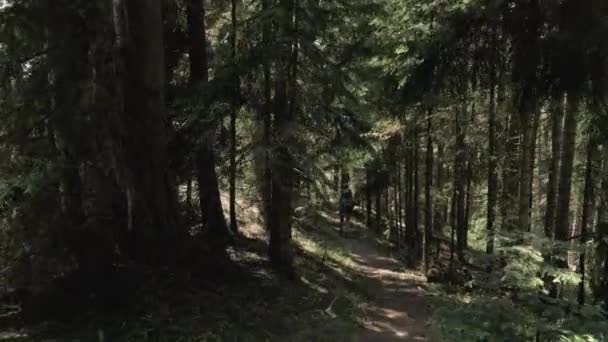 Jong meisje wandelingen in het bos van de bergen met bakpack - Georgië nationaal park — Stockvideo
