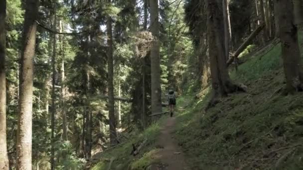 Passeggiate di una ragazza nella foresta montana con il bakpack - Parco nazionale della Georgia — Video Stock