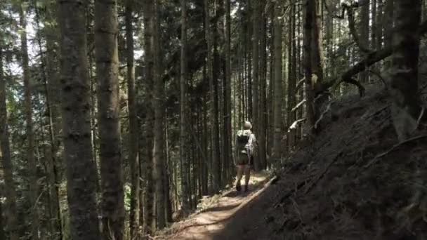 若い女の子が bakpack - グルジア国立公園の山森の散歩します。 — ストック動画