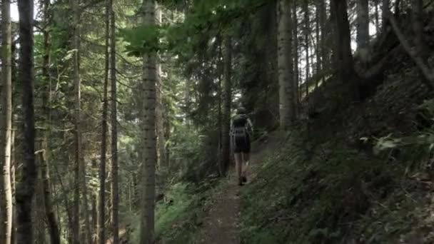 Chica joven camina en el bosque de las montañas con bakpack - Parque Nacional de Georgia — Vídeos de Stock