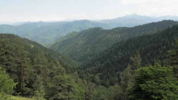 Weergave van de bergen in de Borjomi Kharagauli nationaal park - Georgië — Stockvideo