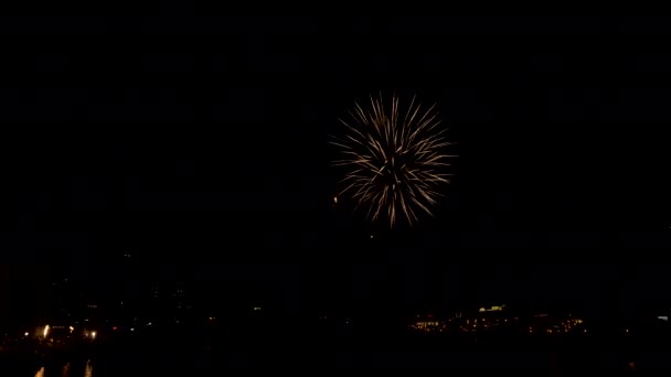 Фейерверки в ночь на город — стоковое видео