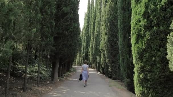 Young girl walks in cypress alley in Tbilisi botanical park - Georgia — Stock Video