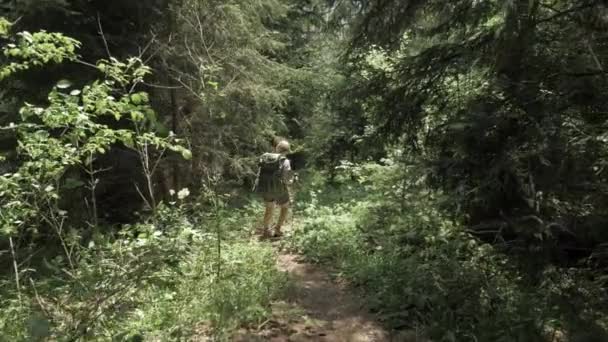 Jong meisje wandelingen in het bos van de bergen met bakpack - Georgië nationaal park — Stockvideo