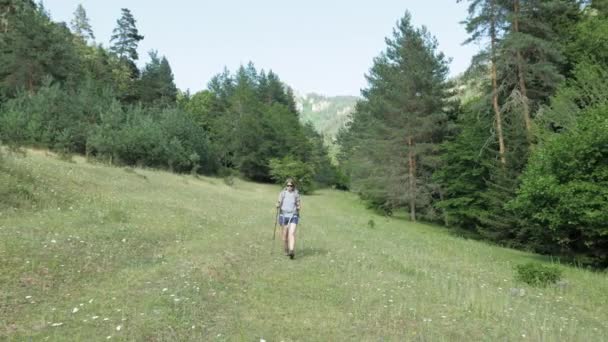 Jong meisje wandelingen in de bergen met bakpack - Georgië nationaal park — Stockvideo