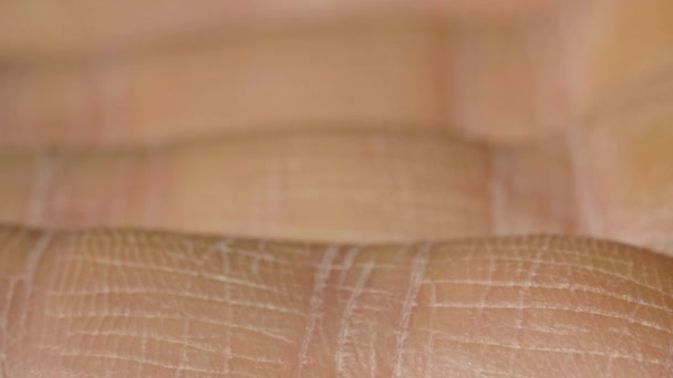 Blanco detallada piel humana caucásica en los dedos de la mano primer plano en macro — Vídeos de Stock