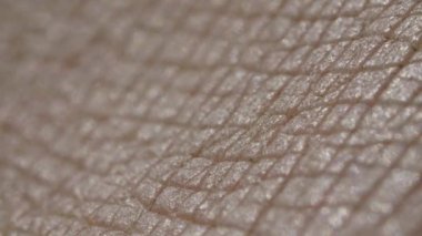 Beyaz, beyaz, beyaz, beyaz, beyaz insan derisi, makroda yakın plan.