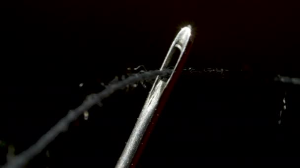 Thread through the eye of a needle in macro — Stok Video