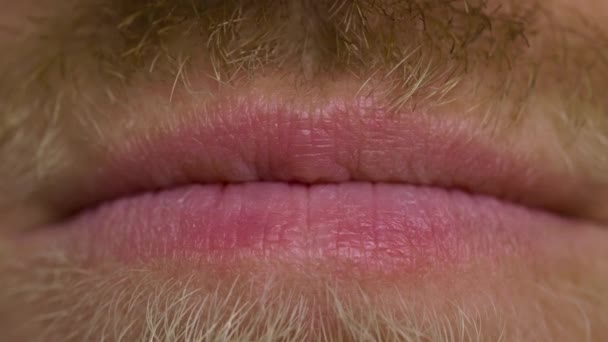 Primer plano de labios masculinos con bigote y barba — Vídeo de stock