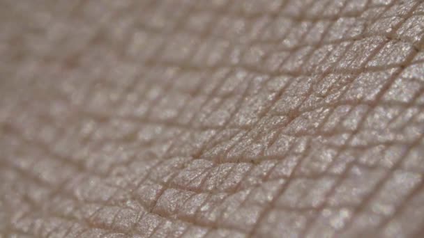 Blanc détaillée caucasien peau humaine gros plan dans macro — Video