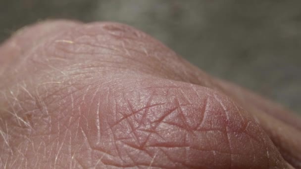 Blanco detallada piel humana caucásica en primer plano puño en macro — Vídeos de Stock