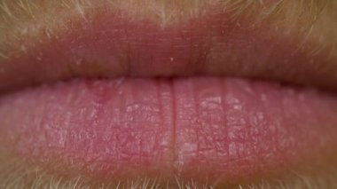 Erkek dudaklarının bıyıklı ve sakallı yakın çekimi.