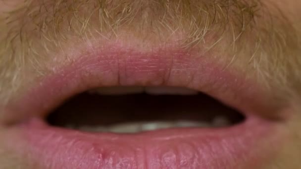 Detailní záběr otevření samčí tlamy s knírem a vousy — Stock video