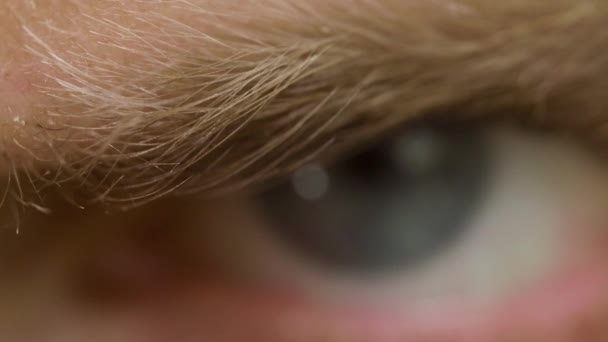 Macro shot de regard en colère de caucasien mâle aux yeux bleus — Video