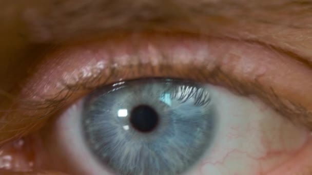 Macro disparo de ojo azul masculino caucásico — Vídeo de stock