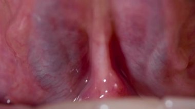 Makroda sağlıklı pembe insan dili