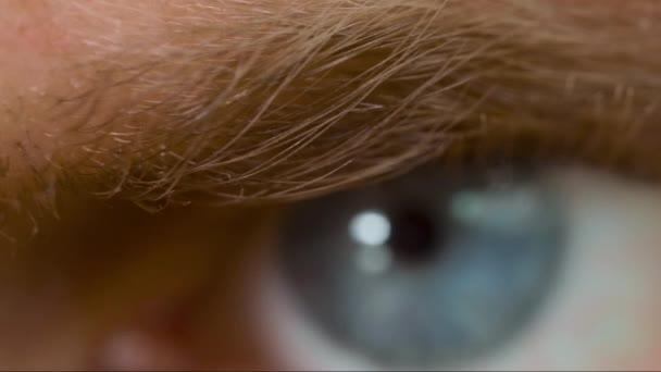 Makroaufnahme des wütenden Blicks eines kaukasischen Männchens mit blauen Augen — Stockvideo