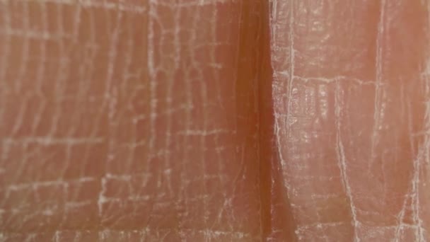 Blanco detallado caucásico piel humana primer plano en macro — Vídeo de stock