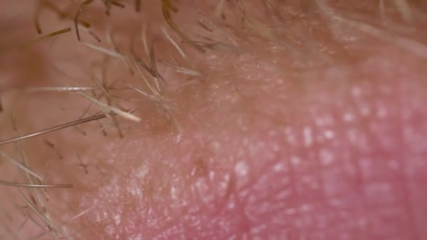 Mouth and mustache on caucasian man face in macro — Stock Video