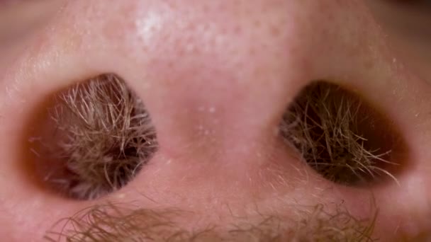 Peludas fosas nasales y nariz de hombre caucásico de cerca en macro — Vídeos de Stock