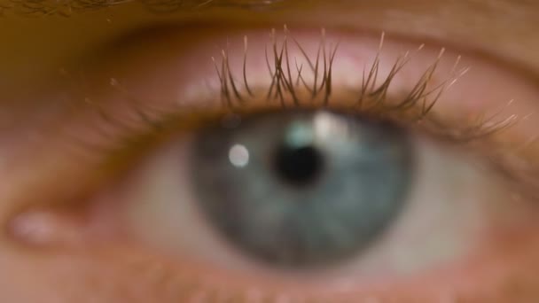 Macro shot de pestaña masculina caucásica con ojos azules — Vídeos de Stock