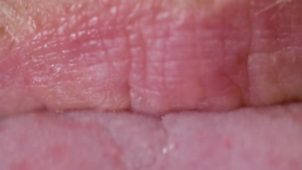 Detailní záběr mužských rtů s knírem a vousy — Stock video