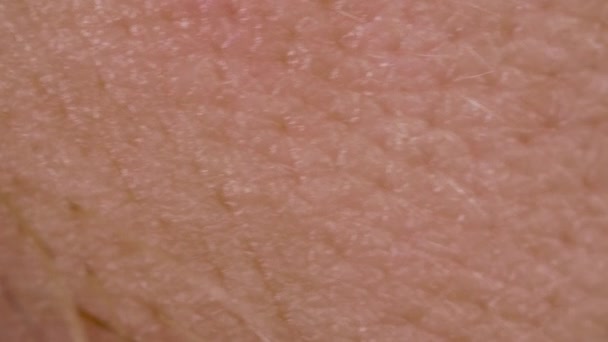 White detailed caucasian human skin on face closeup in macro — Stock Video