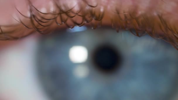 Macro shot de pestaña masculina caucásica con ojos azules — Vídeo de stock