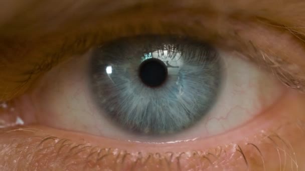Makro záběr kavkazského mužského modrého oka — Stock video