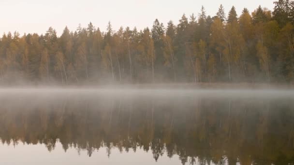 Niebla por la mañana sobre el lago junto al bosque de otoño — Vídeos de Stock