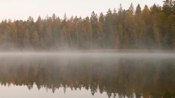 Brouillard matinal au-dessus du lac près de la forêt d'automne