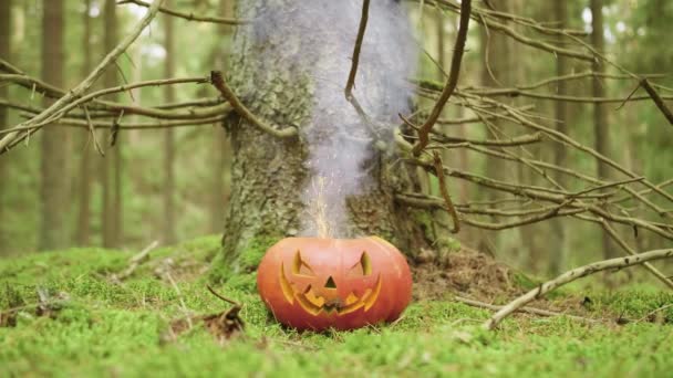 Calabaza de Halloween con humo de color en el bosque de otoño — Vídeos de Stock