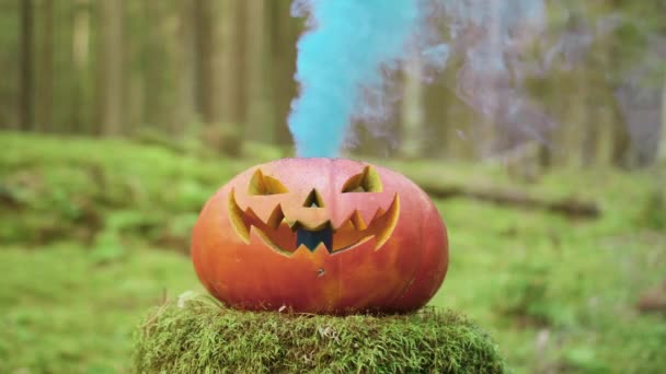 Calabaza de Halloween con humo de color en el bosque de otoño — Vídeos de Stock