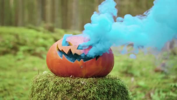 Halloween pumpa med färgad rök i höstskogen — Stockvideo