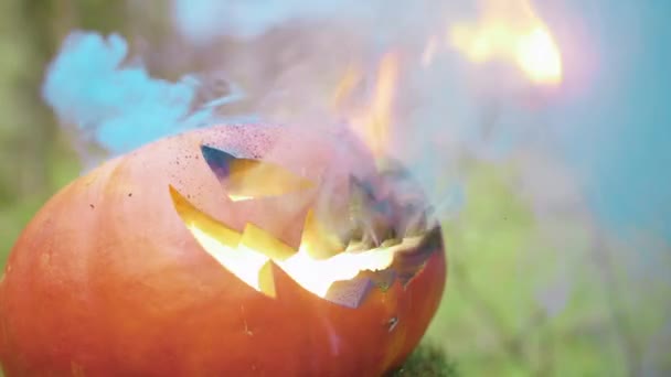 Calabaza de Halloween con humo de color en el bosque de otoño — Vídeos de Stock