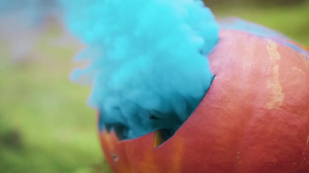 Halloween-Kürbis mit farbigem Rauch im herbstlichen Wald — Stockvideo